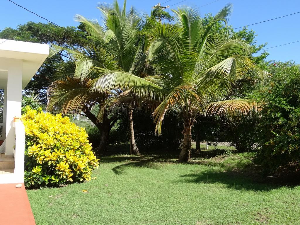 Tranquility By The Sea Villa Vieques Eksteriør billede