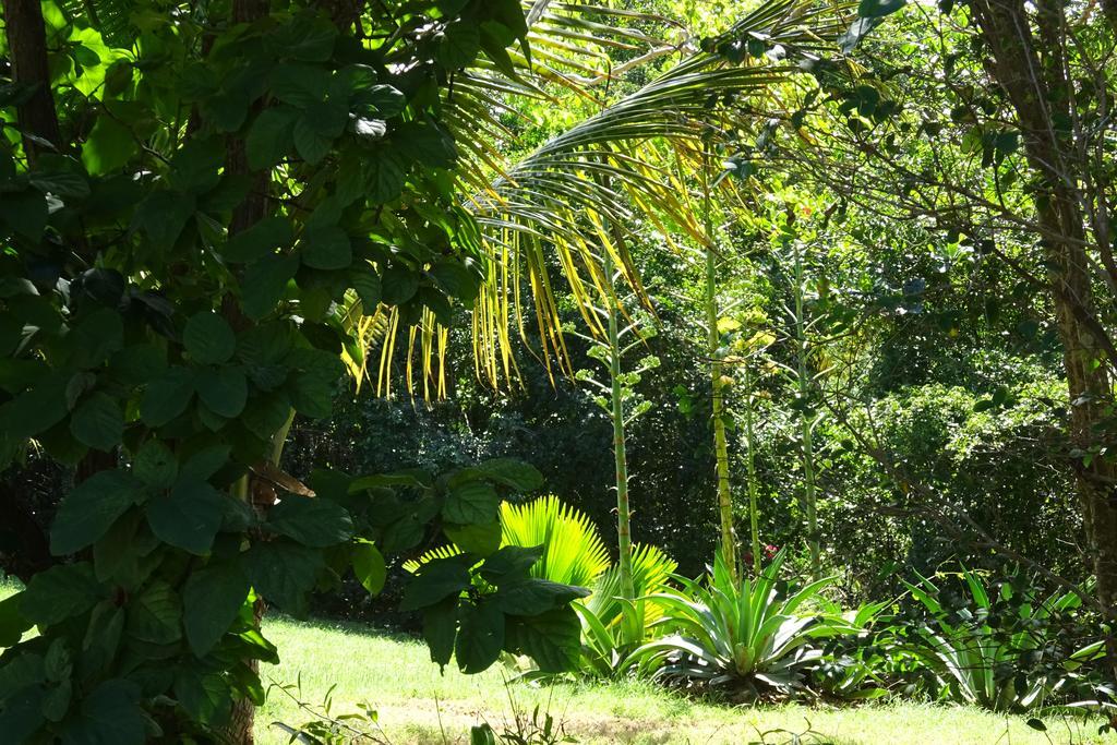 Tranquility By The Sea Villa Vieques Værelse billede