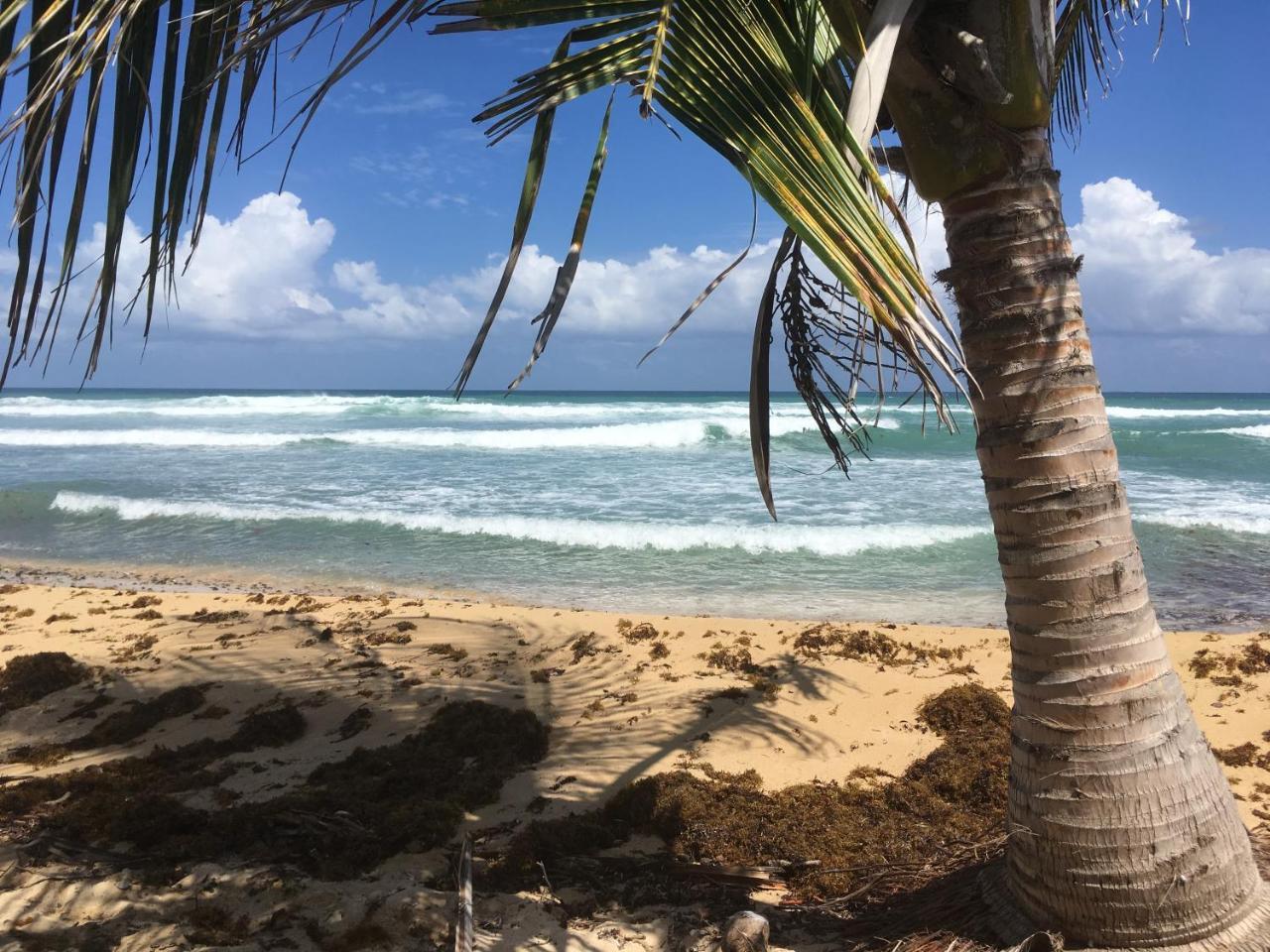 Tranquility By The Sea Villa Vieques Eksteriør billede