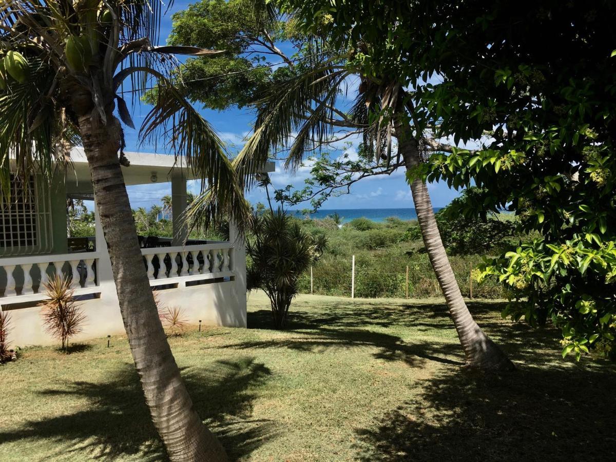 Tranquility By The Sea Villa Vieques Eksteriør billede