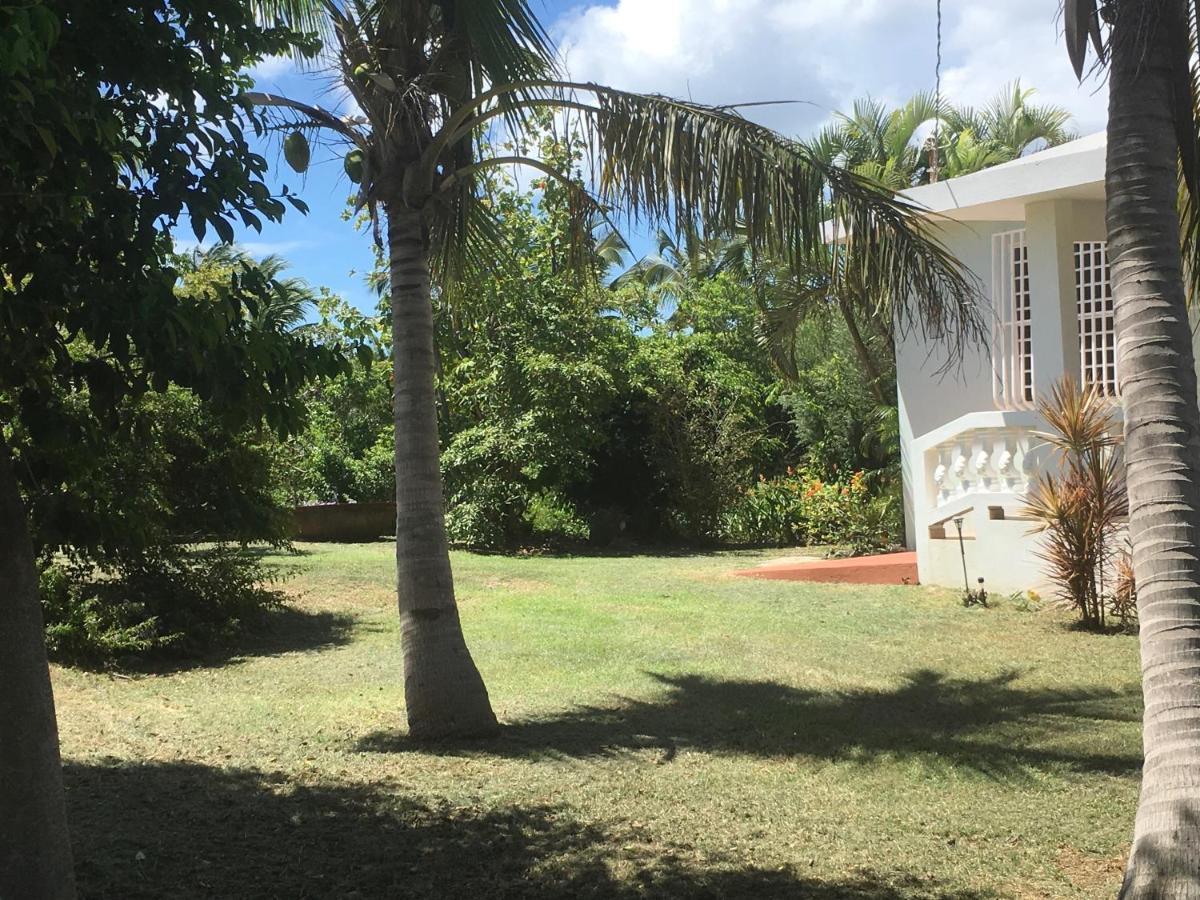 Tranquility By The Sea Villa Vieques Eksteriør billede
